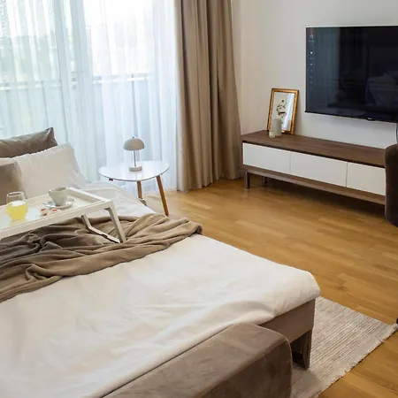 Apartment Alina's